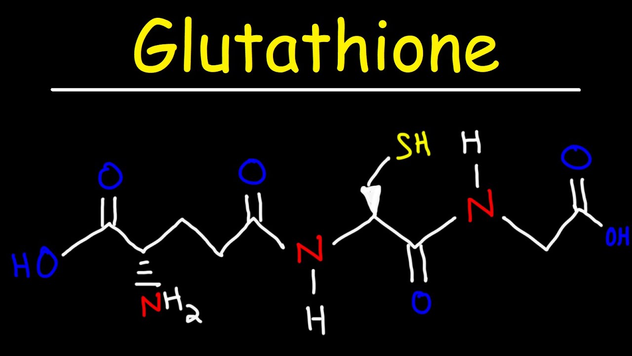 Uses of Glutathione Powder in the Nutraceutical Capsules, Drinks, and Gummies